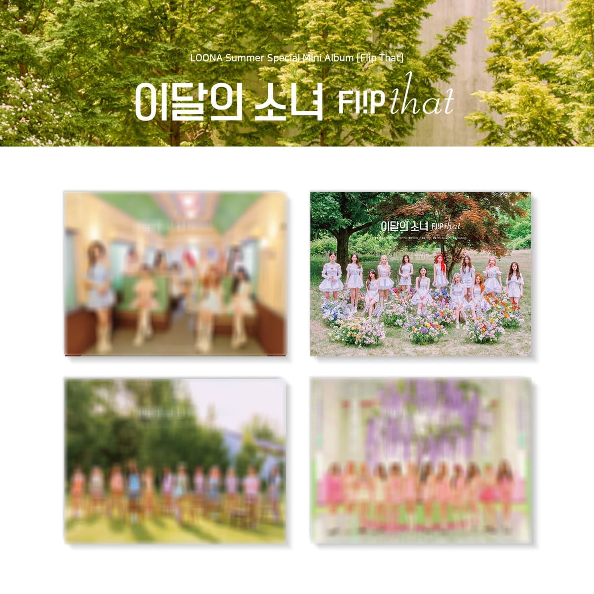 LOONA – SPECIAL ALBUM FLIP THAT