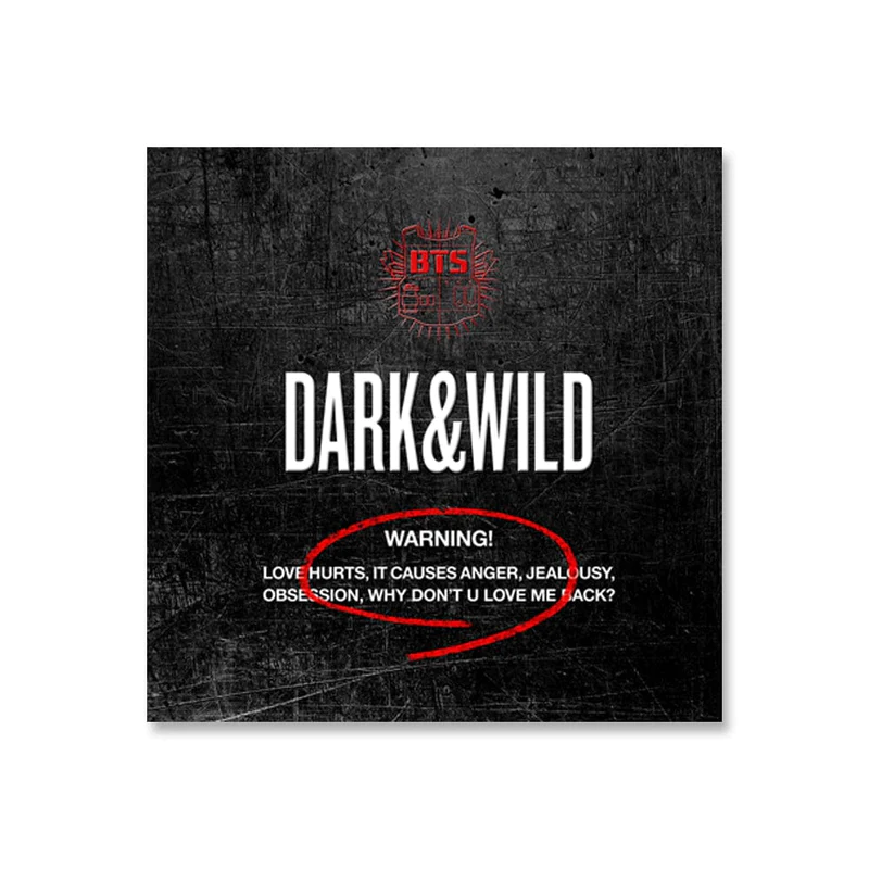 BTS – ALBUM DARK & WILD